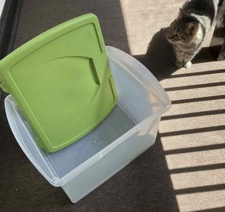 Photo of free Large plastic storage bin (Ravenswood) #1