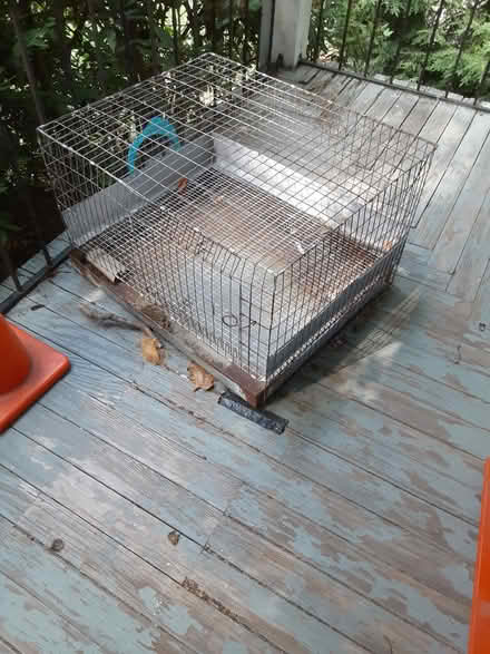 Photo of free Guinea pig, rabbit cage (Jamaica Plain) #1