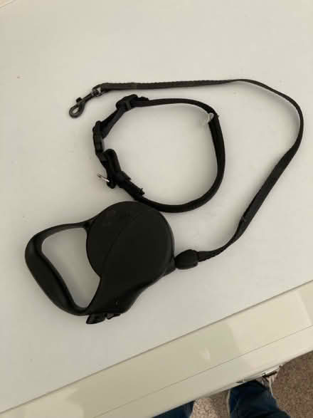 Photo of free Flexi lead (Harrogate HG1) #1