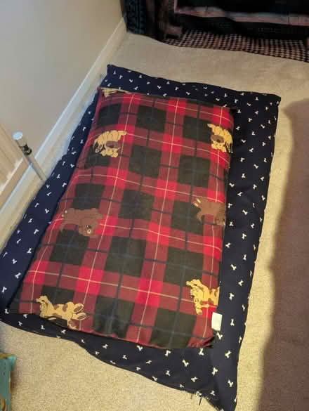 Photo of free Dog stuff (beds, toys, clothes) (Maidstone ME15) #1