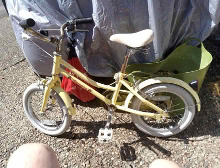 Photo of free Children's bike (Springfield, MK6) #1