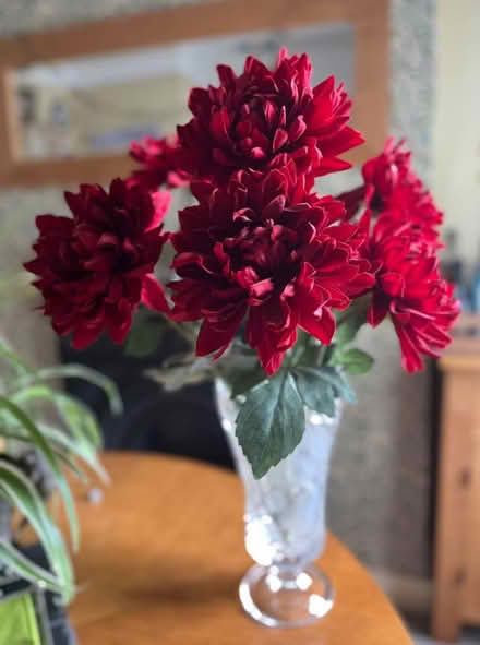 Photo of free 7 Red Artificial chrysanthemums (Bromley BR2) #1