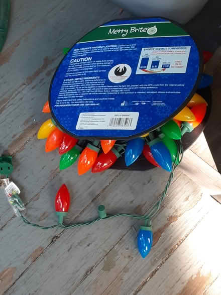 Photo of free Christmas light (Jamaica Plain) #1