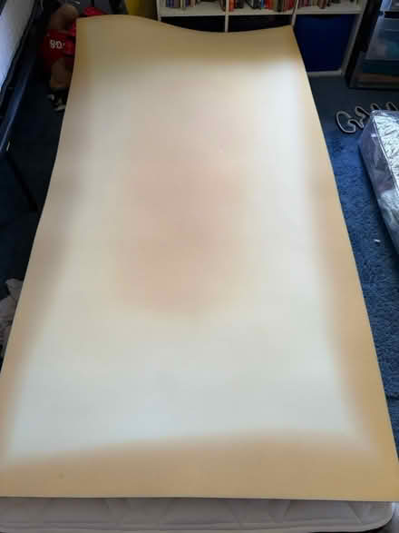 Photo of free Twin memory foam topper (Roselle Park) #1