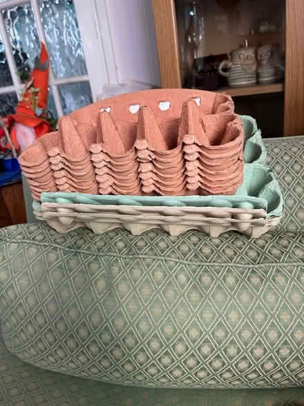 Photo of free Egg boxes (Derby Road Ilkeston de7 5) #1