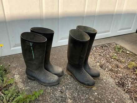 Photo of free Size 8 Wellington Boots (Walkley S6) #1