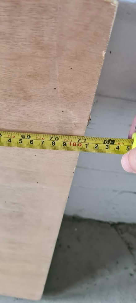 Photo of free Sheet of wood (Boothville) #2