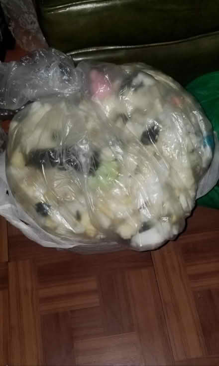Photo of free cut sponge for craft (Fordham Rd Bronx.) #1