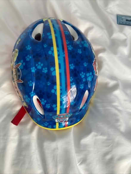 Photo of free Paw Patrol helmet age 3-5 (Fortis Green N10) #3