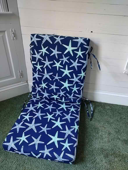 Photo of free New chair pad (Odenton) #1