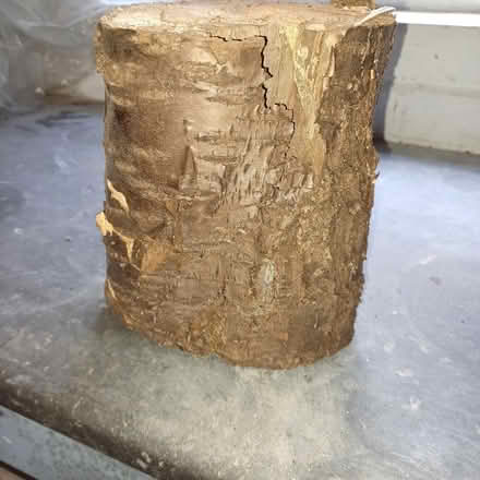Photo of free Logs for wood burner (Denton's Green WA10) #1