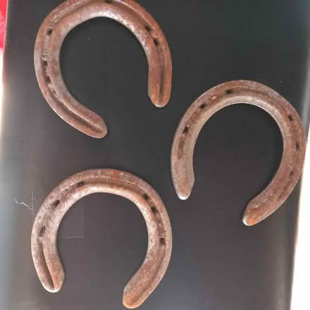 Photo of free Horse shoe (shepperton) #1