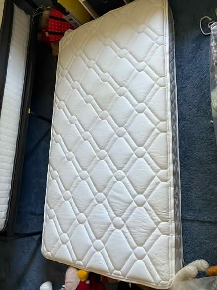 Photo of free Twin mattress (Roselle Park) #3
