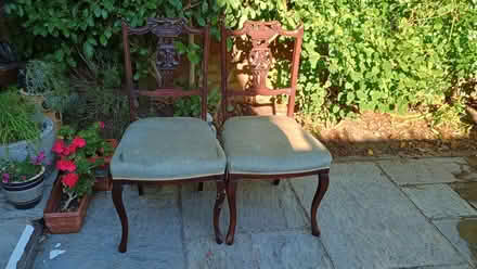 Photo of free Pair sturdy chairs. (Eastbourne BN20) #1
