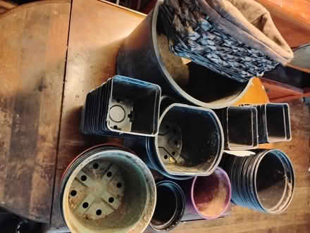 Photo of free Flower Pots (Georgia Ave Petworth) #1