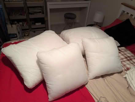 Photo of free Outdoor Seat cushion inserts (Maidstone ME15) #1