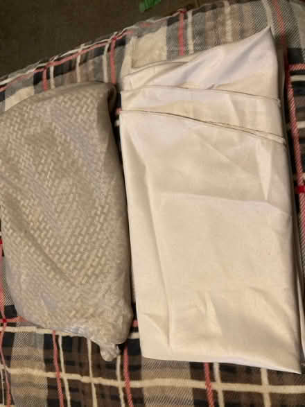 Photo of free Doggie diapers and table cloths (Montebello) #2