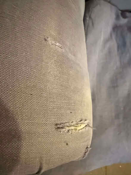 Photo of free Loaf Large Bagsie Sofa (Marazion TR17) #3