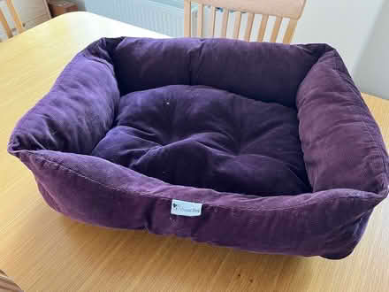 Photo of free Dog bed, good condition (Wingerworth S42) #1