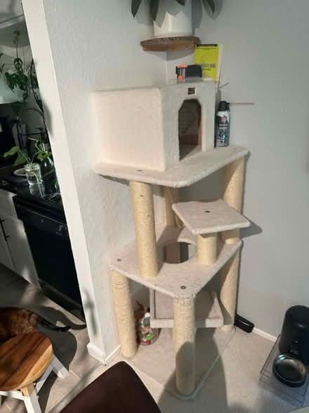 Photo of free Cat tree near new (Bascom and Foxworthy) #1