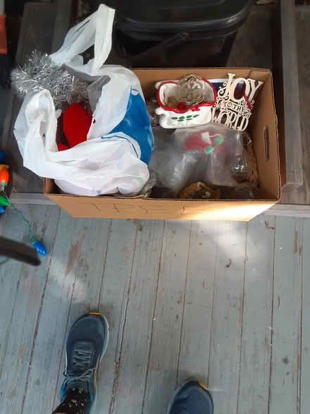 Photo of free Random Christmas (Jamaica Plain) #1