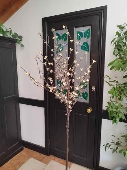 Photo of free Floor standing tree lamp (Chatteris PE16) #2