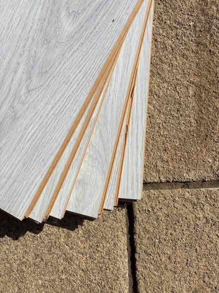 Photo of free 7 laminate floor planks (Bridlington YO16) #3