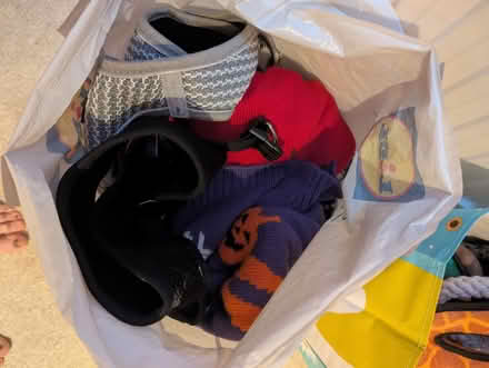 Photo of free Dog stuff (beds, toys, clothes) (Maidstone ME15) #3