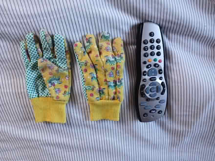 Photo of free Child's garden gloves (Parkhead EH11) #1