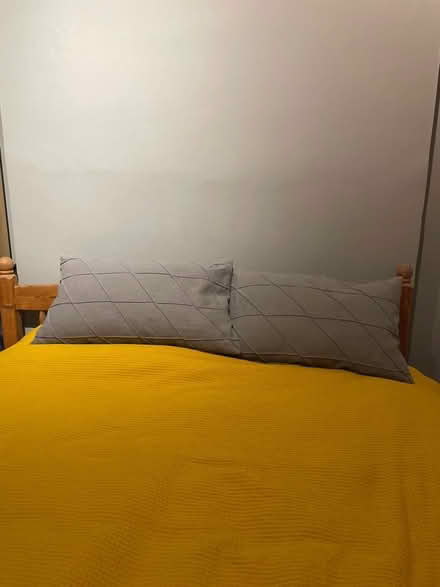 Photo of free Grey IKEA cushions (West Watford WD18) #1
