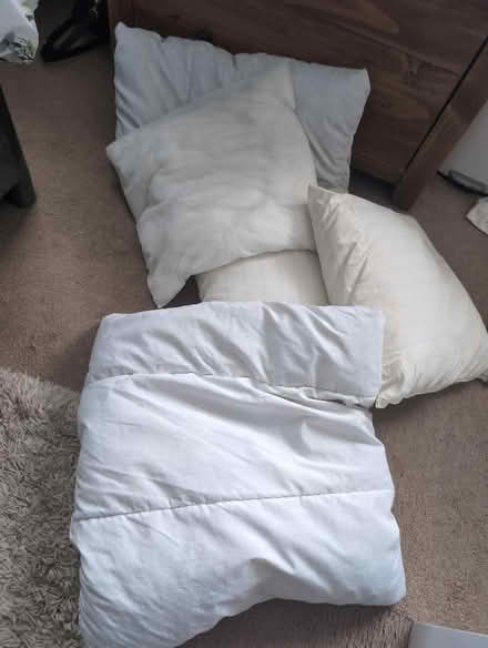 Photo of free 5 x cushion inners (Fairfield Park) #1