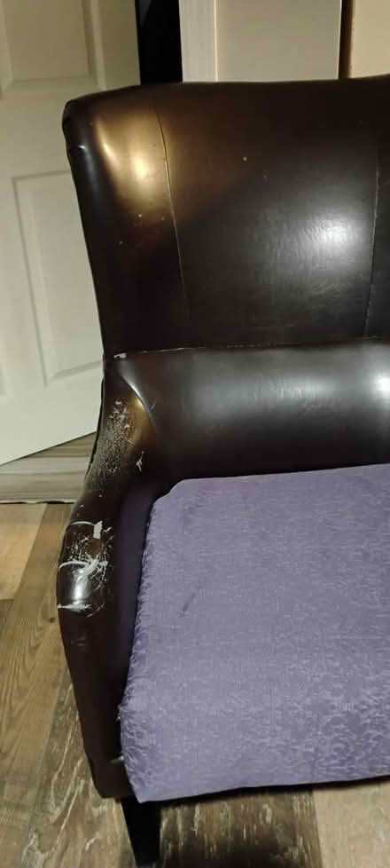 Photo of free Two (2) high back leather chairs (Stone Mountain near Rockbridge) #4