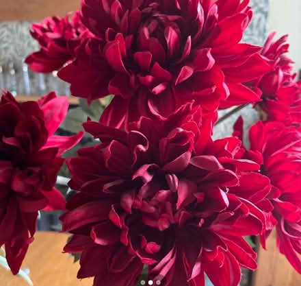 Photo of free 7 Red Artificial chrysanthemums (Bromley BR2) #2