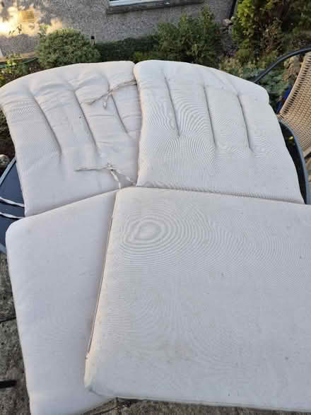 Photo of free Recliner garden chair cushions/pads (Whiteshill, Stroud) #1