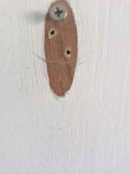 Photo of free Hooks (Kirkby In Ashfield NG17) #2