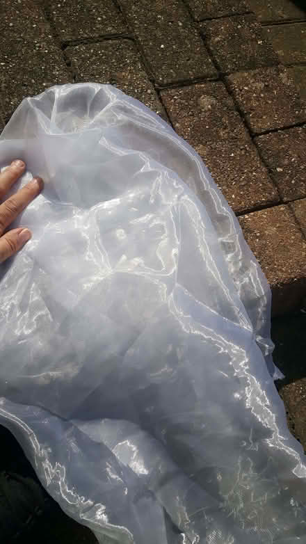 Photo of free fabric (New Greens AL3) #1