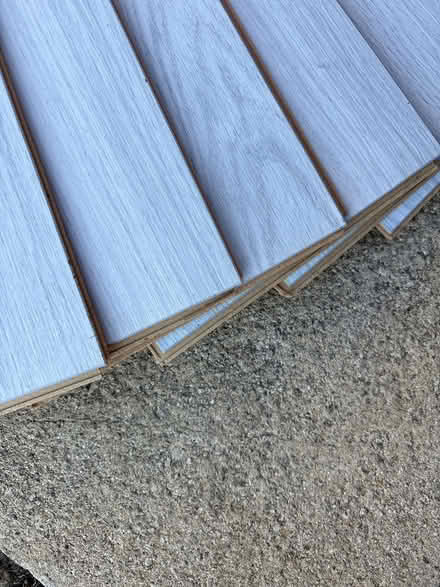 Photo of free 7 laminate floor planks (Bridlington YO16) #2