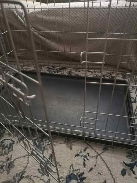 Photo of free Pet / Dog Cage (Wollaton NG8) #3