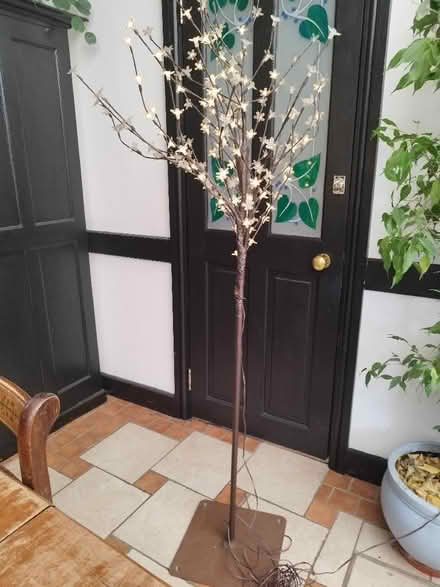 Photo of free Floor standing tree lamp (Chatteris PE16) #1