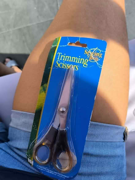 Photo of free Trimming scissors (Southend SS2) #1