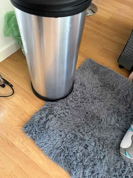 Photo of free Bin (Ash) #2
