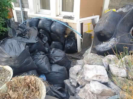 Photo of free Soil and half-bricks (Bishopston) #3