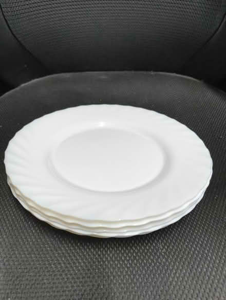 Photo of free Plates (Primrose LA1) #4