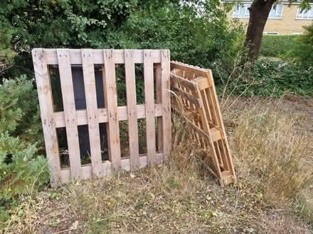 Photo of free wood pallet (CM2 springfield, chelmsford) #2
