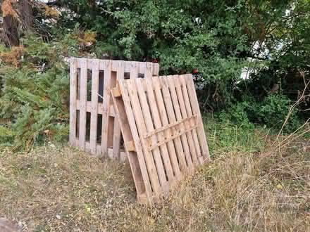 Photo of free wood pallet (CM2 springfield, chelmsford) #1