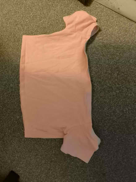 Photo of free Pink crop top (Southend SS2) #1