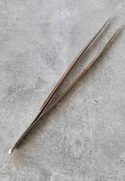 Photo of free Stamp collecting tweezers (Pagham PO21) #1