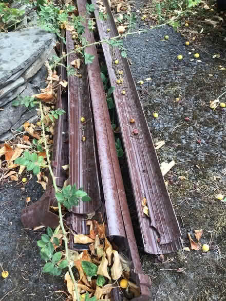 Photo of free Greenhouse guttering (Clunton SY7) #1