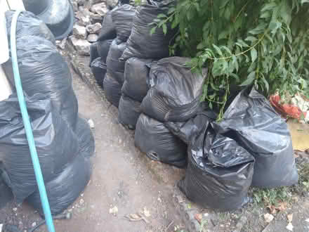 Photo of free Soil and half-bricks (Bishopston) #2