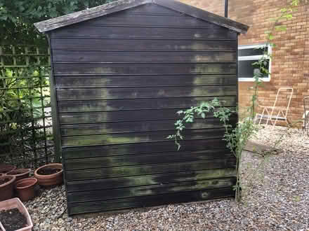 Photo of free 6x6 garden shed (East Carleton NR14) #3